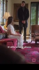 [Doblado en Español] La Pareja del Alfa Maldito #ReelShort |  SHORTFILMS - loambition