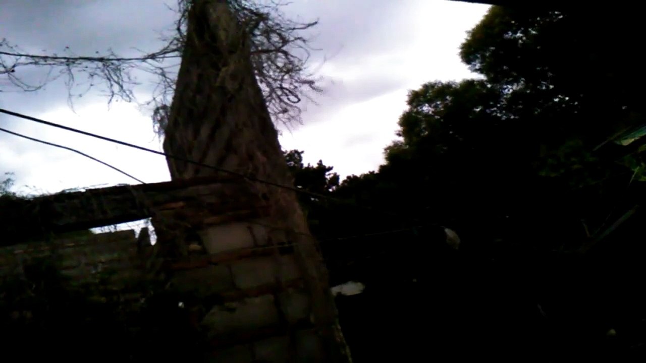 Un poco de viento y lluvia a partir de las 5:30 a. m. en Tacuarembó 16/11/2025