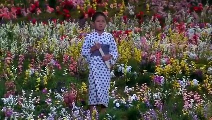 Los sueños de Akira Kurosawa (Akira Kurosawa) 1990 - Película completa subtitulada en español