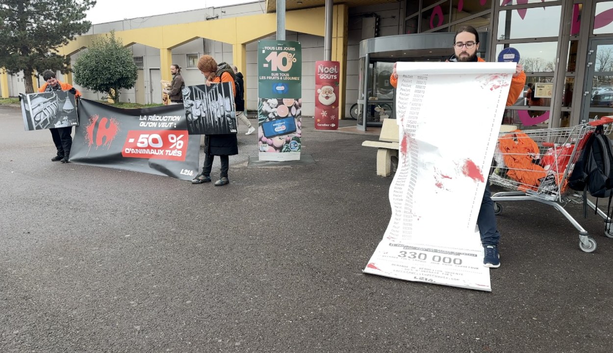 Moulins-lès-Metz : L214 déploie un ticket de caisse géant devant Carrefour pour dénoncer l’élevage intensif