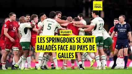 Rugby : l'Afrique du sud inflige une raclée au Pays de Galles