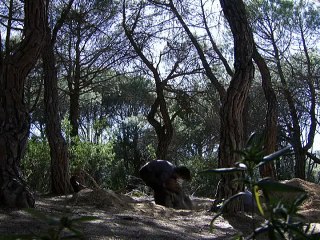 [S05.E06] El Internado - El vampiro