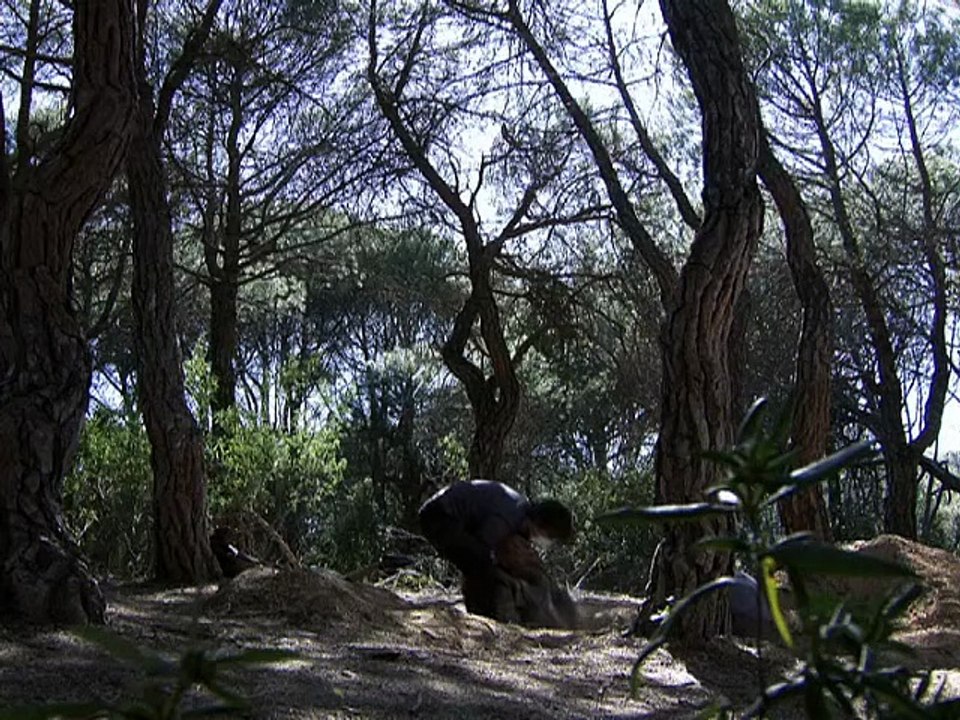 [S05.E06] El Internado - El vampiro