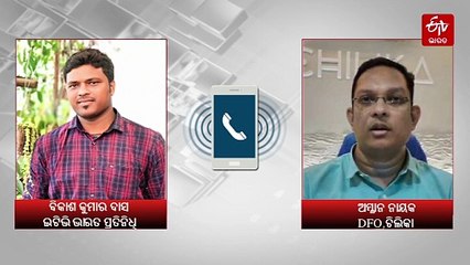 ଓଡିଶା ବିହଙ୍ଗ ଉତ୍ସବ; ପର୍ଯ୍ୟଟକ ଶୁଣିବେ ପକ୍ଷୀଙ୍କ କିଚିରି ମିଚିରି ଶବ୍ଦ, କେବେ ଓ କ'ଣ ରହିଛି ସୁବିଧା