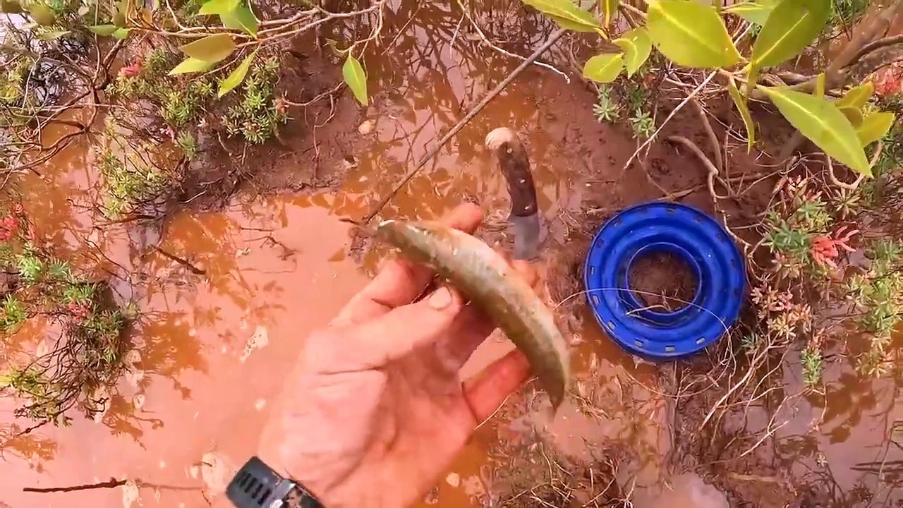 UN CANGREJO DE LODO GIGANTE  Pescando y ACAMPANDO a solas en la llanura