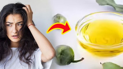 Tamanu Oil For Hair: How To Use Tamanu Oil For Hair Fall Control? Tamanu Oil Benefits In Hindi......