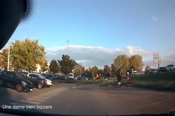 Plaques d'Immatriculation Folles_Vous N'Allez Pas le Croire_1763197381