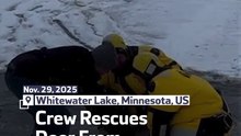 Crew Rescues Deer From Frozen Lake