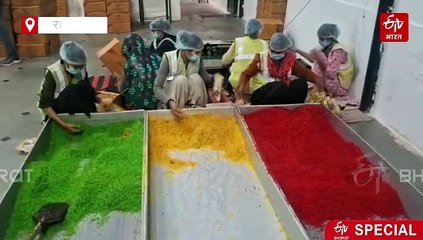 पुष्कर में कच्चे पपीते से टूटी फ्रूटी और करौंदे से बनाई जाती है चेरी, देश के सभी राज्यों में होती है सप्लाई