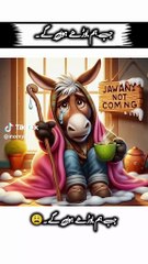 When we grow older we will remember our youth animal 😄😜 dounki cartoon videos