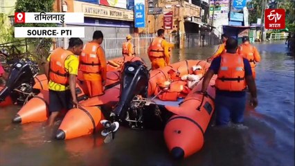 चक्रवाती तूफान दित्वा का कहर, तमिलनाडु में 3 लोगों की मौत, 149 मवेशियों की जान गई