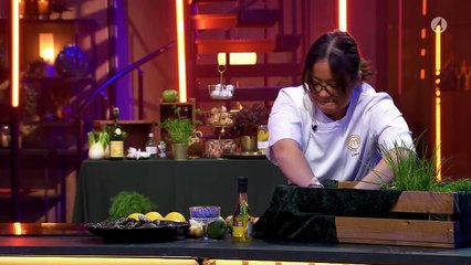 Sveriges Masterkock S16E15 SWE H 264