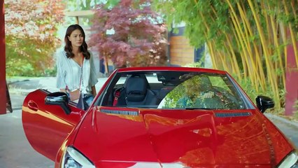 Te Atreves A Amar- - Pájaro Soñador