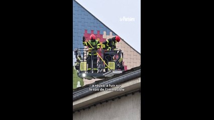 Meurthe-et-Moselle : cinq morts dans un incendie