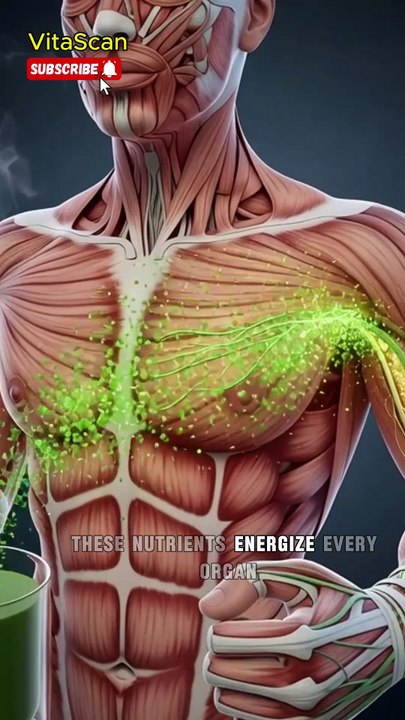 "Green Tea Inside the Body — 3D Anatomy Breakdown | Benefits & Side Effects"