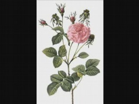 Nostalgia Meanaxi 2- hindi [HIS MASTERS VOICE] 78rpm