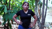 La Maquillista   Serie Dominicana completa