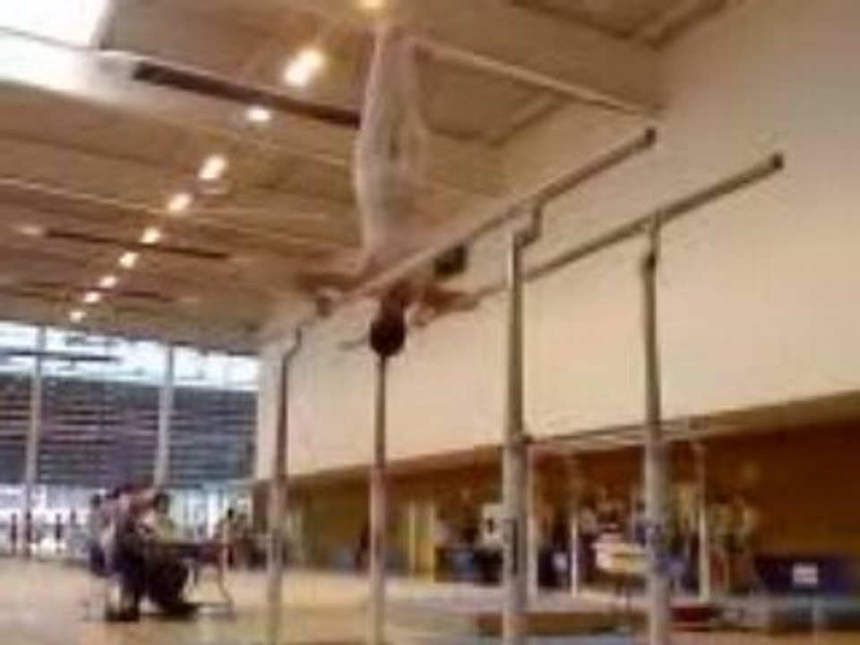 Barres parallèles 2ème degré adulte