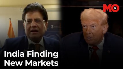 India finds alternative export markets as tariff impact unfolds
