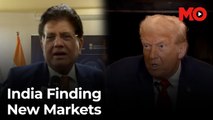 India finds alternative export markets as tariff impact unfolds