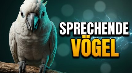 Unglaubliche Vögel, die sprechen können – Das wusstest du nicht!