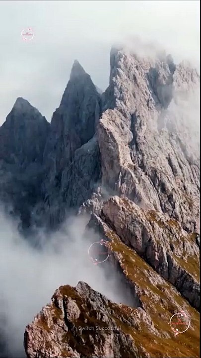 Bound to the Rebel Wolf - Full