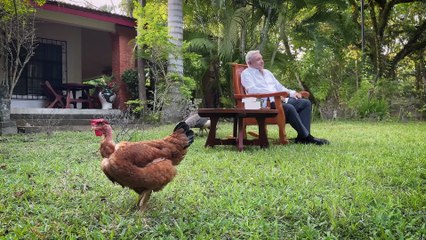 Andrés Manuel López Obrador - Amigas y amigos (30.11.25)