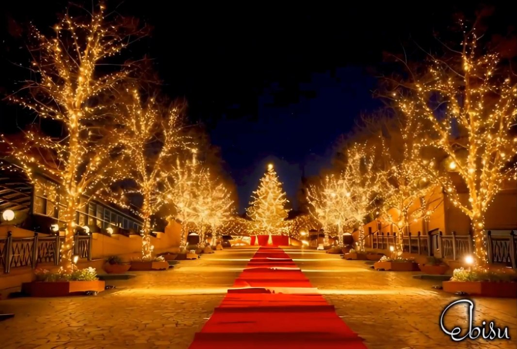 Christmas illuminations in TOKYO