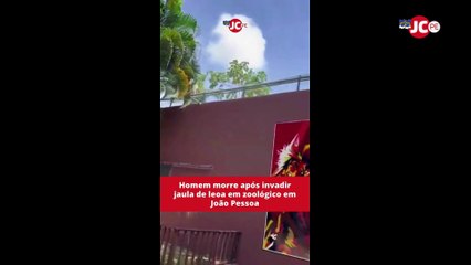 Homem morre após invadir jaula de leoa em zoológico em João Pessoa