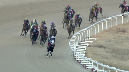 '3세 마' 클린원, 예상 깨고 그랑프리 경주 우승 / YTN