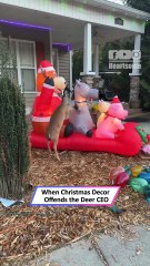 Deer Loses It After Spotting Fake Animals in a Christmas Display|| Heartsome 💖