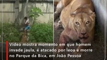 Vídeo mostra momento em que homem invade jaula, é atacado por leoa e morre no Parque da Bica, em João Pessoa