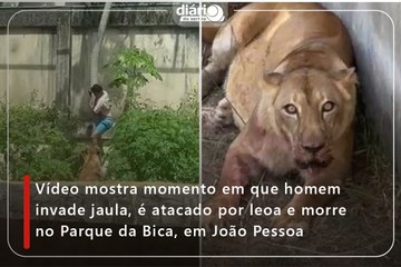 Vídeo mostra momento em que homem invade jaula, é atacado por leoa e morre no Parque da Bica, em João Pessoa