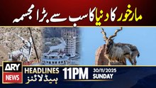 World Highest Markhor statue - Kaghan Valley | ARY News 11 PM Headlines | 30th Nov 2025