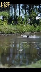 Fated Mate With My Enemy Stepbrother & Detailed Version - Full Movie