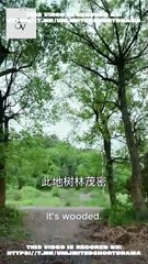 [Full] - Little Devil ON A HEAVENLY MISSION