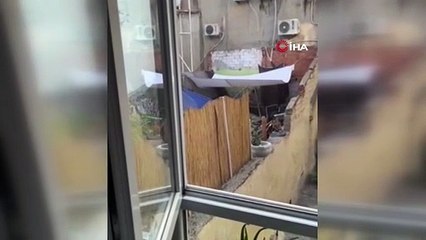 Eskişehir’de köpeğe eziyet eden şahıs yakalandı