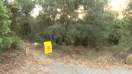 La peste porcina africana cierra los accesos al Parque Natural de Collserola
