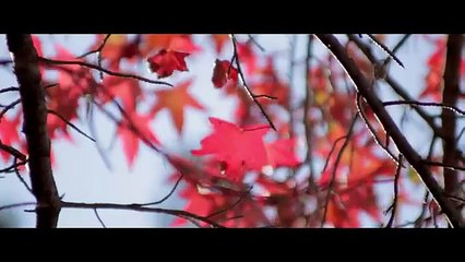 Russian. Lesbian. Movie