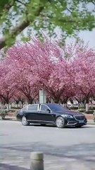 In her past life, he rose to fame then hurt her. Reborn, she crushed him without mercy - Chinese  2025