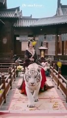 Scorned Beauty Desperate Men Chinese Drama - English Sub