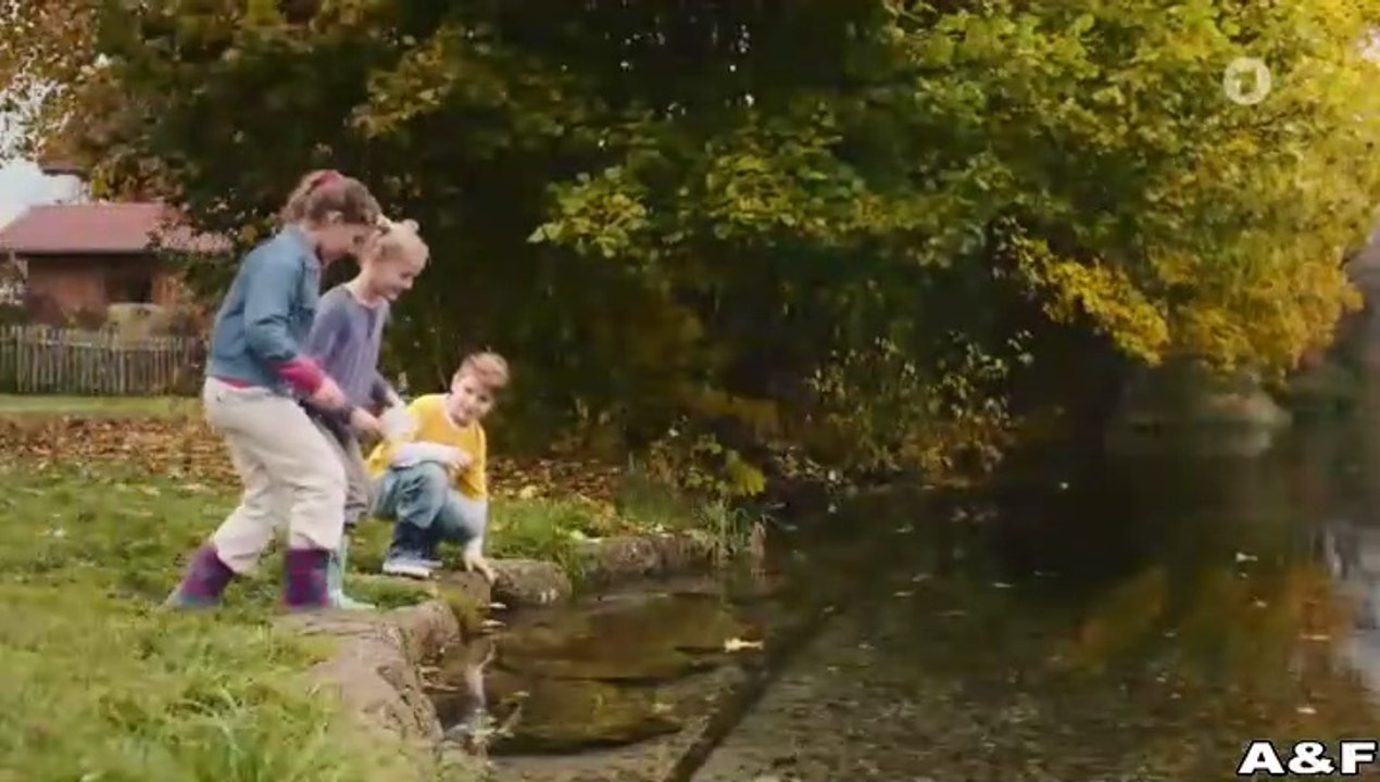 Schon tausendmal berührt