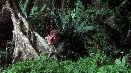 Missing in Action 2 The Beginning (1985)