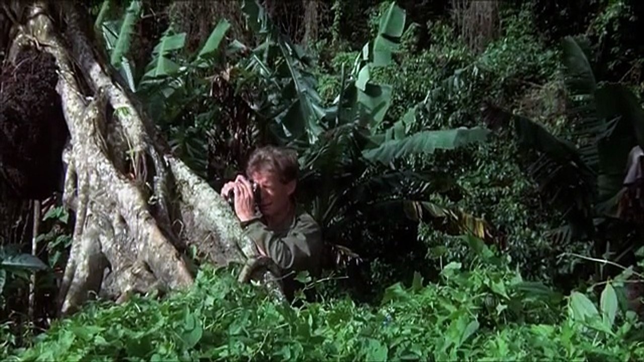 Missing in Action 2 The Beginning (1985)