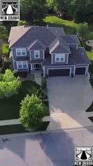 💥🎬 🔥 Divorced Now a Lycan Princess dailymotion