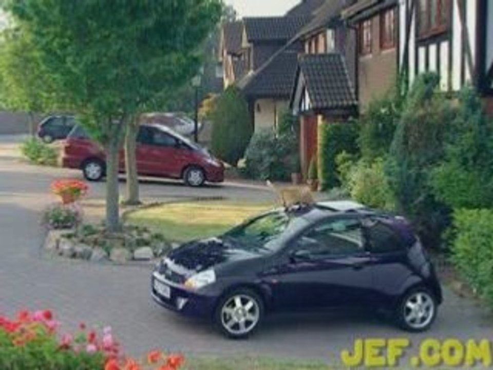 Cat enters car through sunroof! Funny LOLcat!