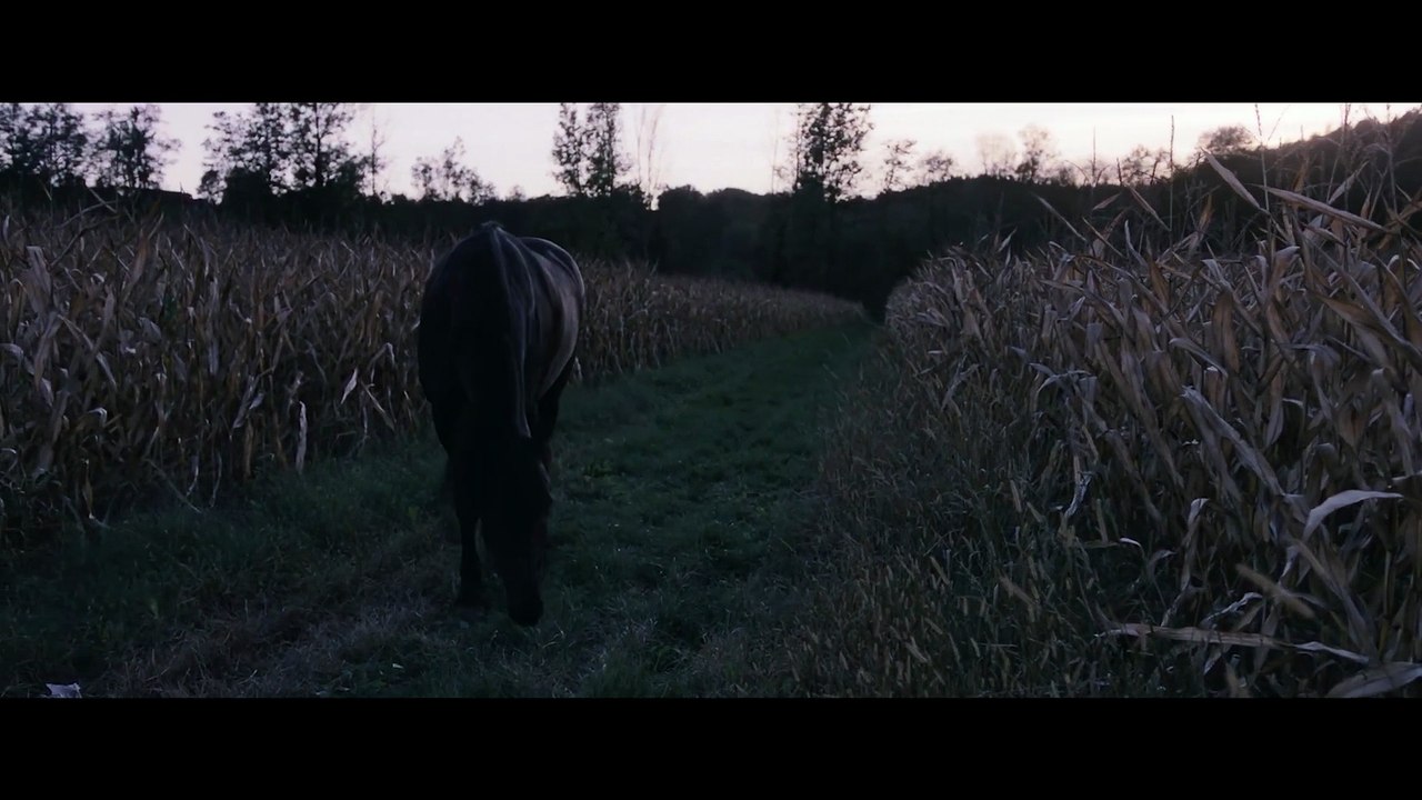 Cornetto im Gras | movie | 2023 | Official Teaser