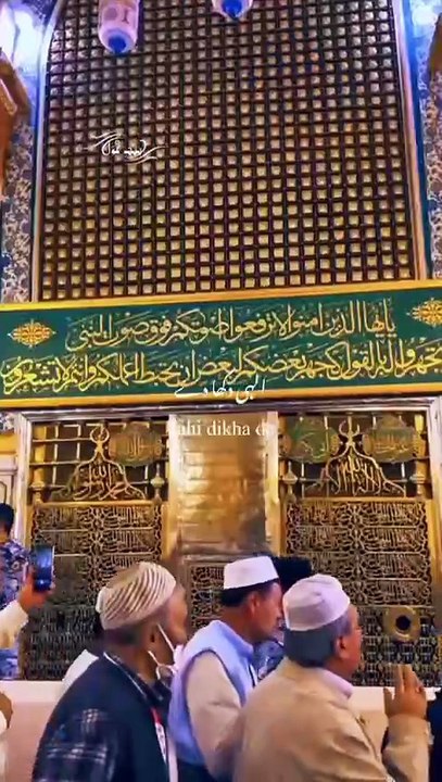 World beautiful videos#IslamicShorts #Quran #Hadith #IslamicReminders #Islamic official 7981 DailyIslam