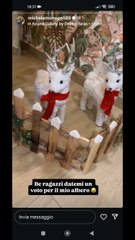 Michele monopoli story