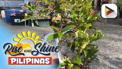 Mga puting laso, itinali sa paligid ng St. William the Hermit Church sa San Fernando, La Union bilang pakikiisa sa paglaban sa korapsyon